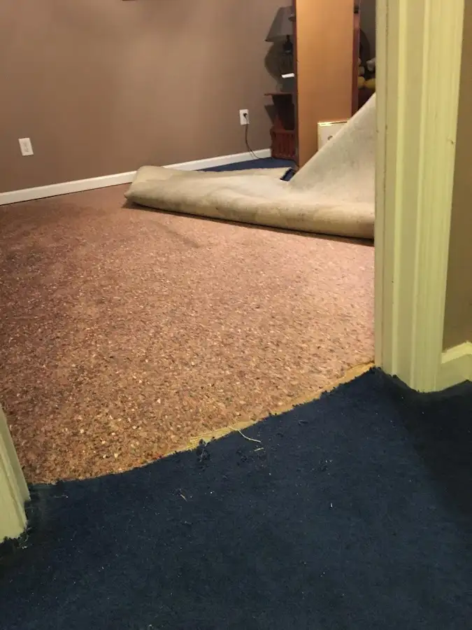 Carpet pad removal revealing water damage during Water Mitigation Services in Little Ferry