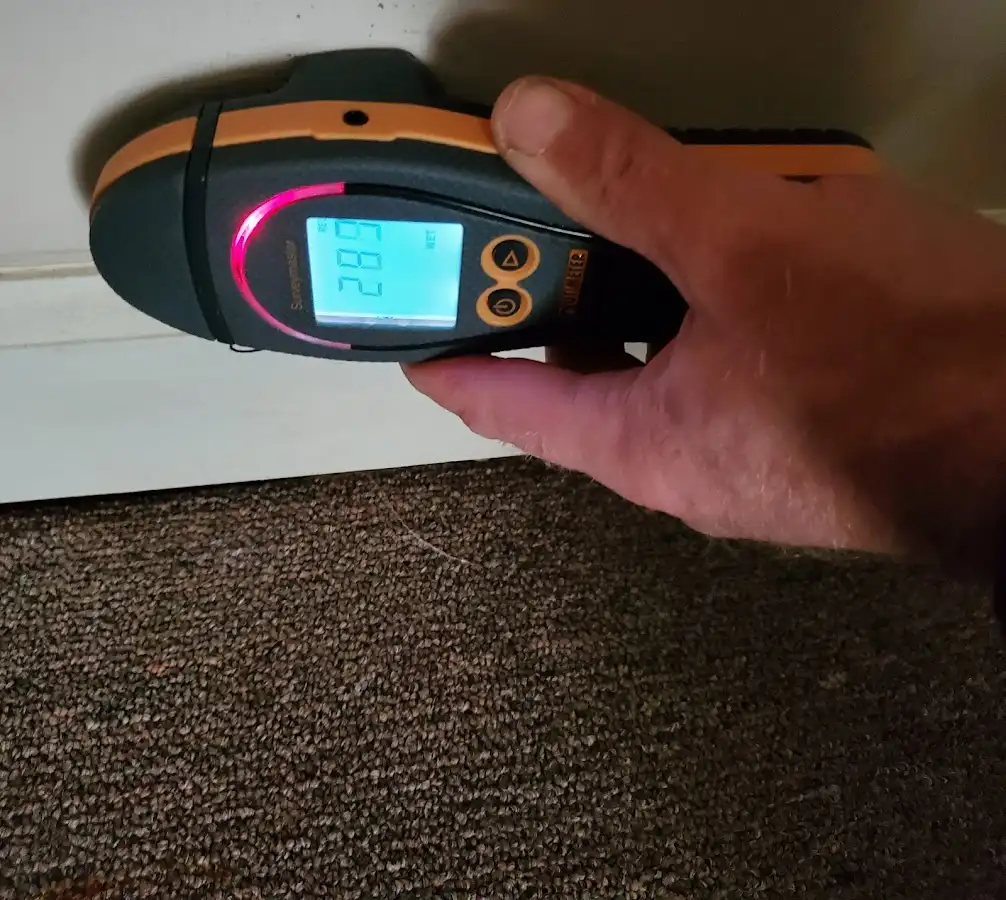 Moisture detection at baseboard during Sewage Cleanup & Sanitation in Little Ferry